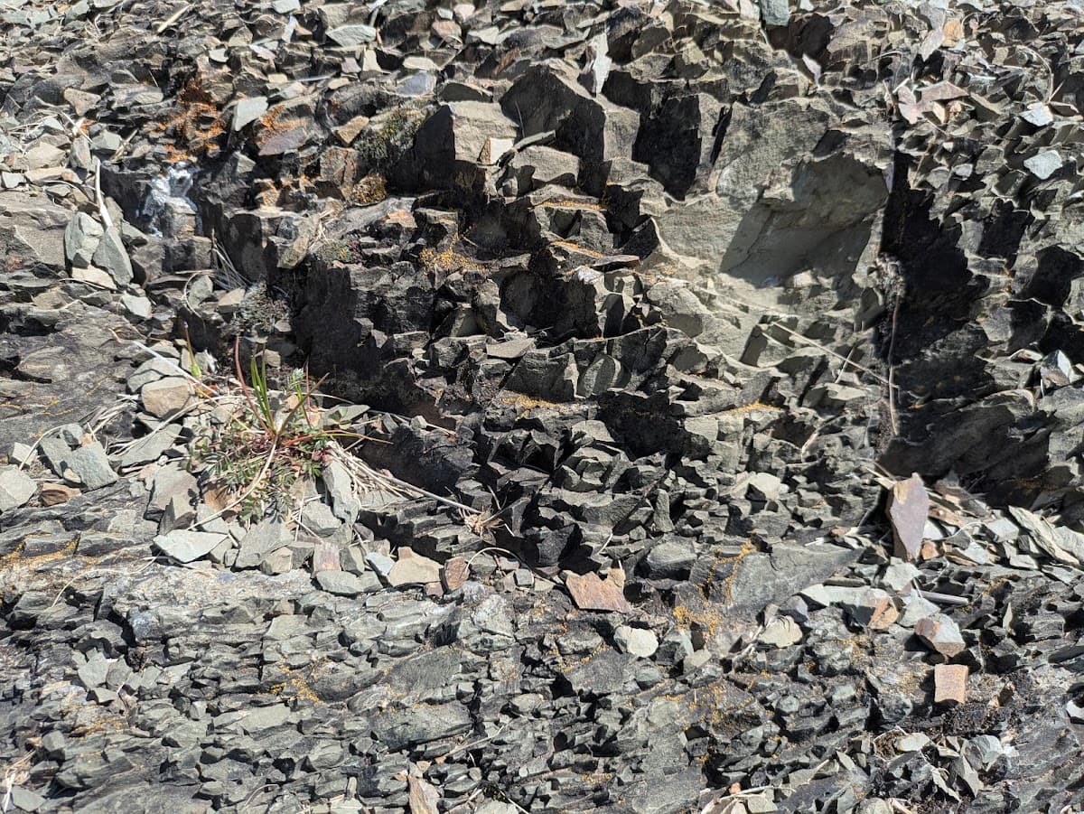 Woolshed Creek Geological Monument
