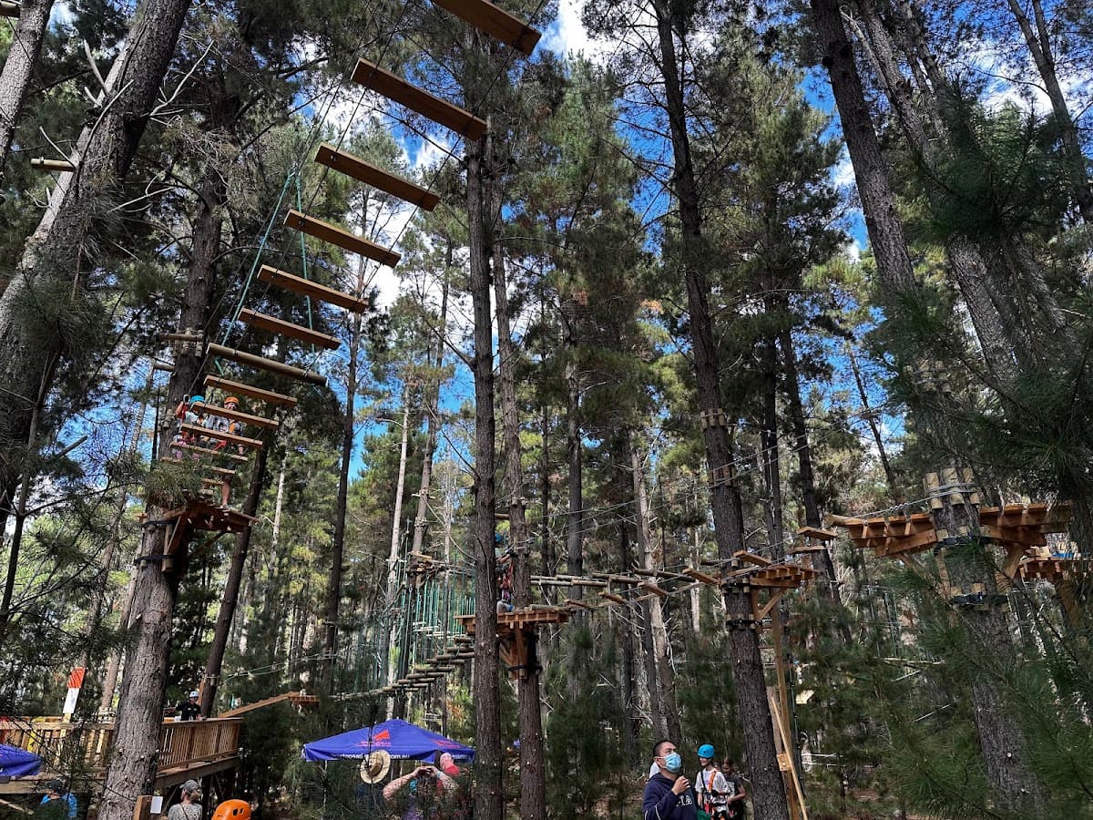 Treetops Adventure Canberra
