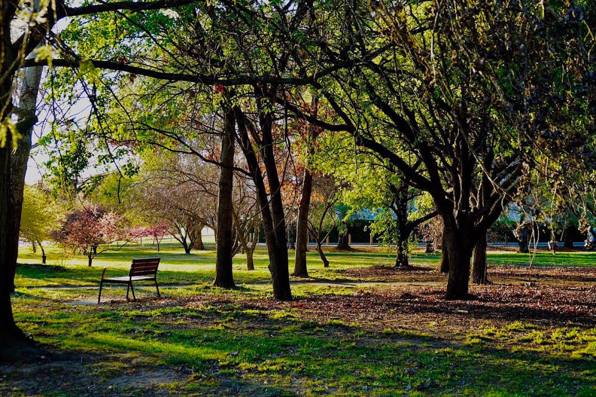 Bowen Park