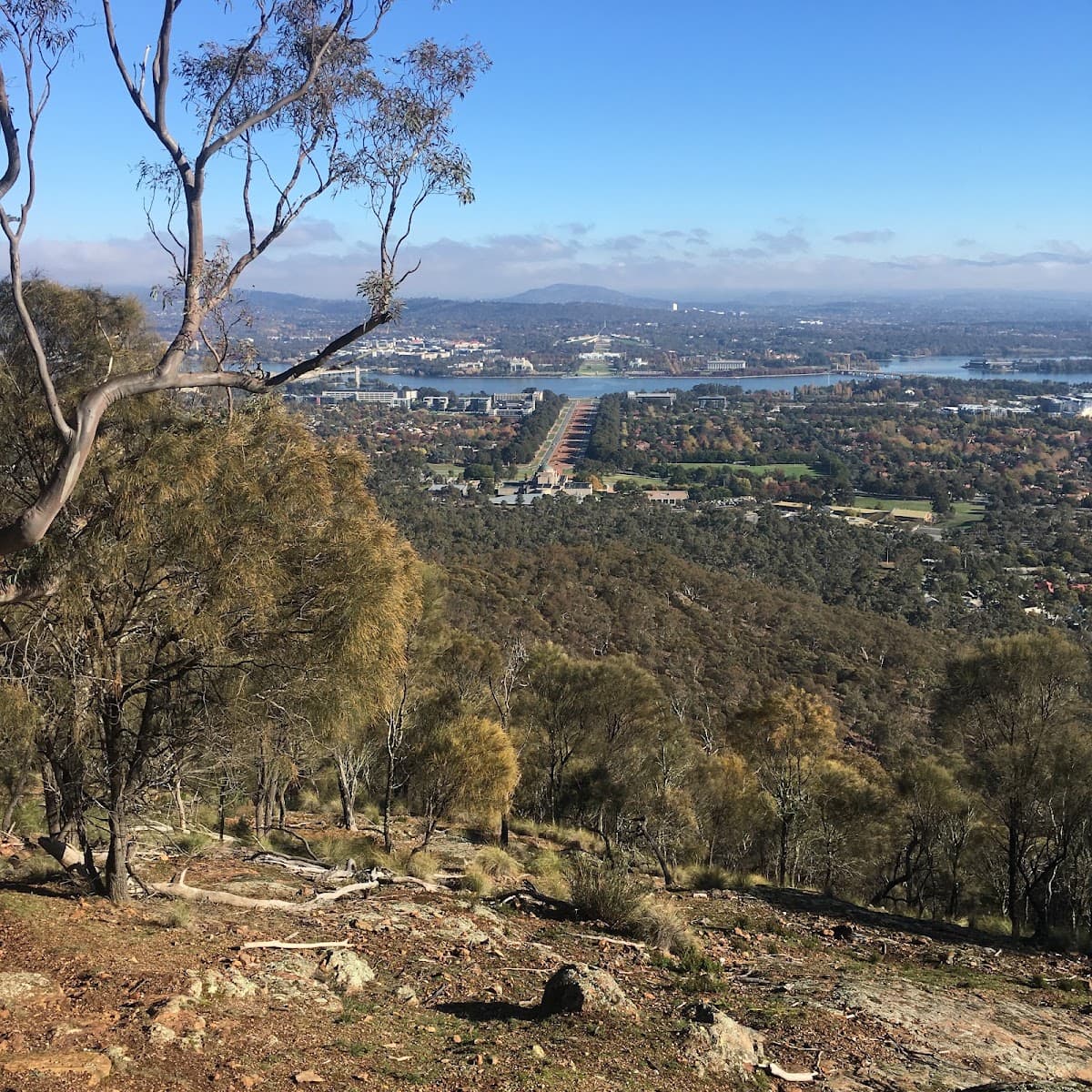 Mount Ainslie Nature Reserve