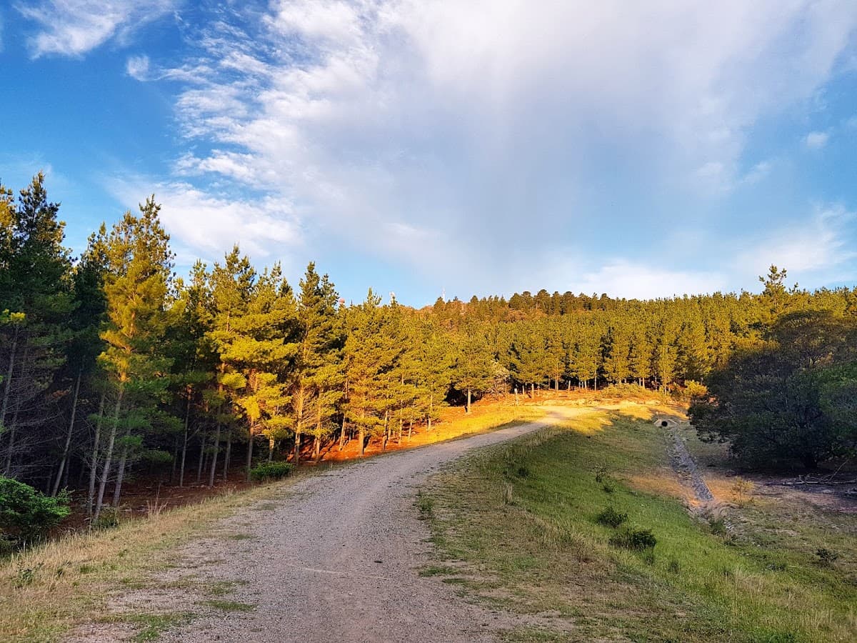 Isaacs Ridge Nature Reserve